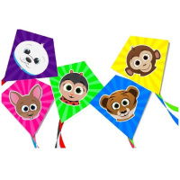 Rhombus Skyfriends Junior Vlieger