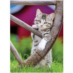 Ravensburger Puzzel Poezen 2X500 Stukjes