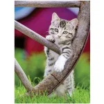 Ravensburger Puzzel Poezen 2X500 Stukjes
