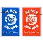 Diversen Speelkaarten Blauw & Rood