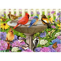 Ravensburger Xxl Puzzel Bij Het Vogelbadje 500 Stukjes