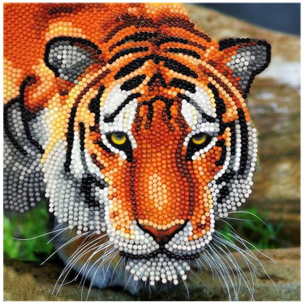 Craft Buddy Crystal Art Kaart Tijger 18X18 Cm - Afbeelding 1