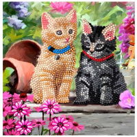 Craft Buddy Crystal Art Kaart Katten 18X18 Cm
