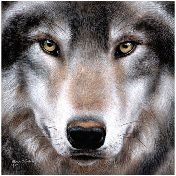 Craft Buddy Crystal Art Wolf 30X30 Cm - Afbeelding 1