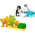 Lego Duplo 10442 Families Van Wilde Dieren PinguÏNs En Leeuwen - Afbeelding 2