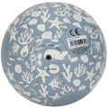 Little Dutch Bal 16 Cm Blauw - Afbeelding 2