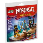 Lego Ninjago 30700 Arin Vs Draconier
