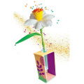 Clementoni Idea Geurende Bloemen Maken Narcissen - Afbeelding 2